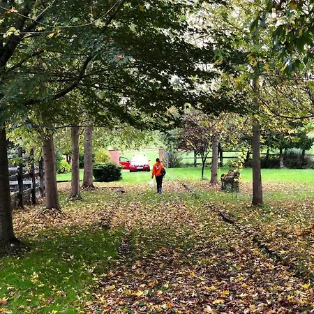 아파트 El Pozo Tremeo *