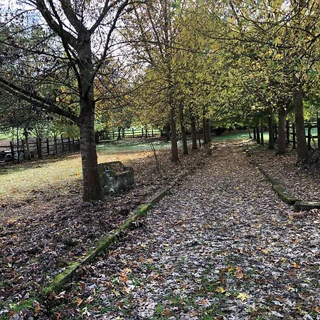 Apartamento El Pozo Tremeo Sona