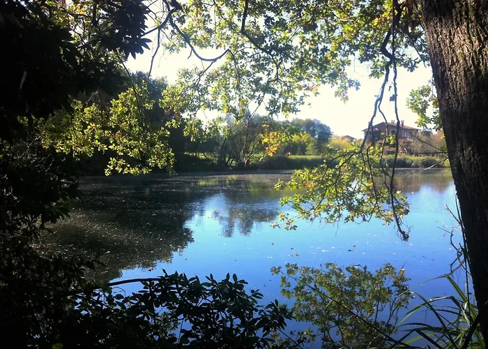 El Pozo Tremeo Appartement