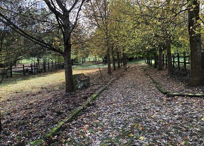 Apartment El Pozo Tremeo Sona